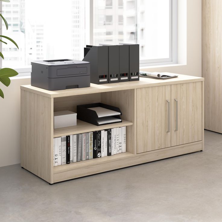 Office Cabinet 1
